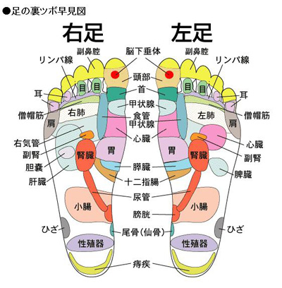 足の裏ツボ早見図