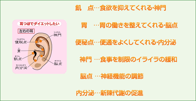 耳ツボダイエット