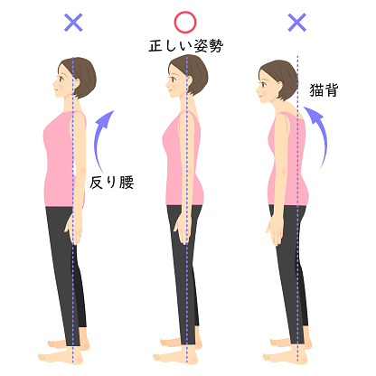 姿勢の種類